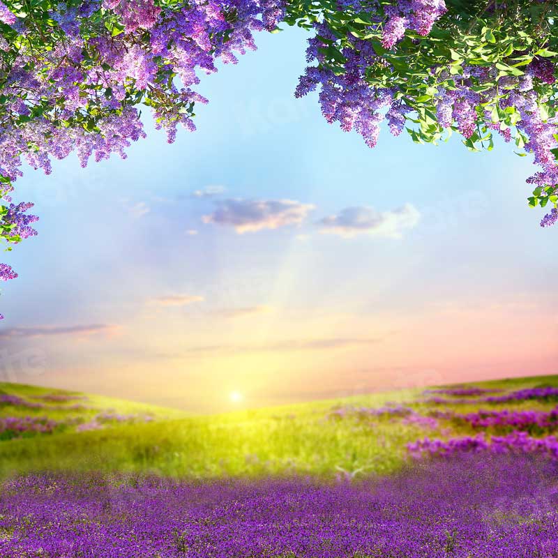 Premium Photo  Dry lavender flowers on purple background vertical photo