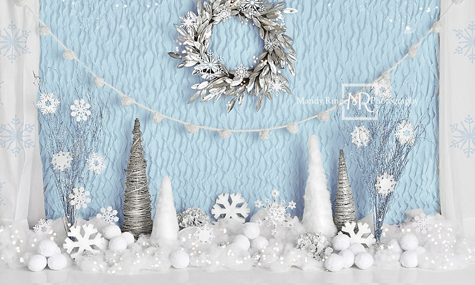 Onederland - Printed Photography Backdrop - Winter Onederland Birthday 2024 Backdrop