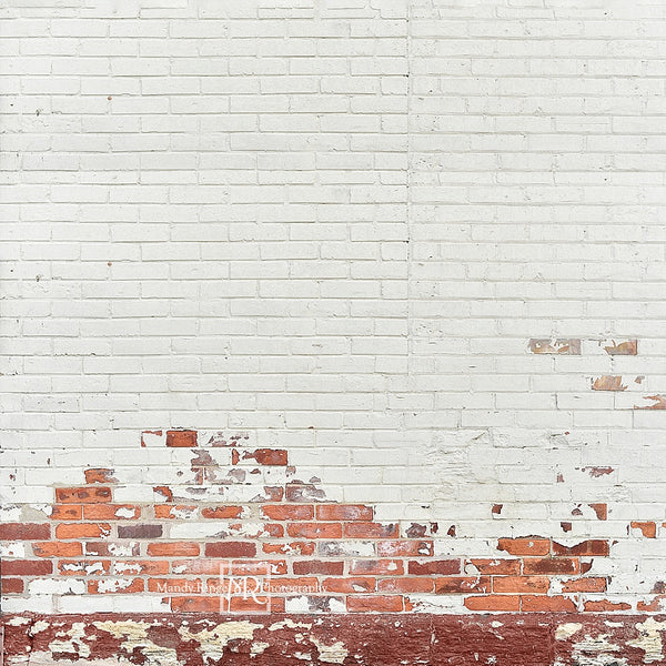 Kate Shabby White and Red Brick Backdrop Designed By Mandy Ringe Photo