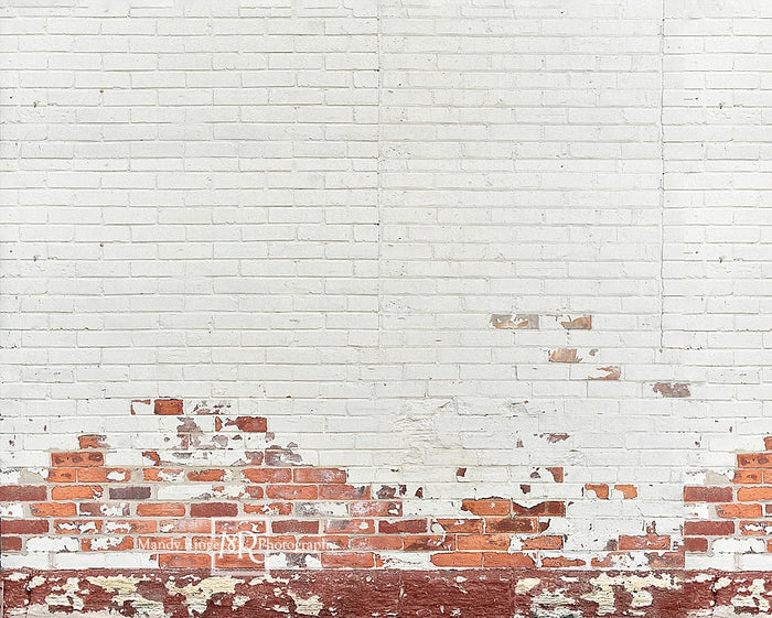 Kate Shabby White And Red Brick Backdrop Designed By Mandy Ringe Photo