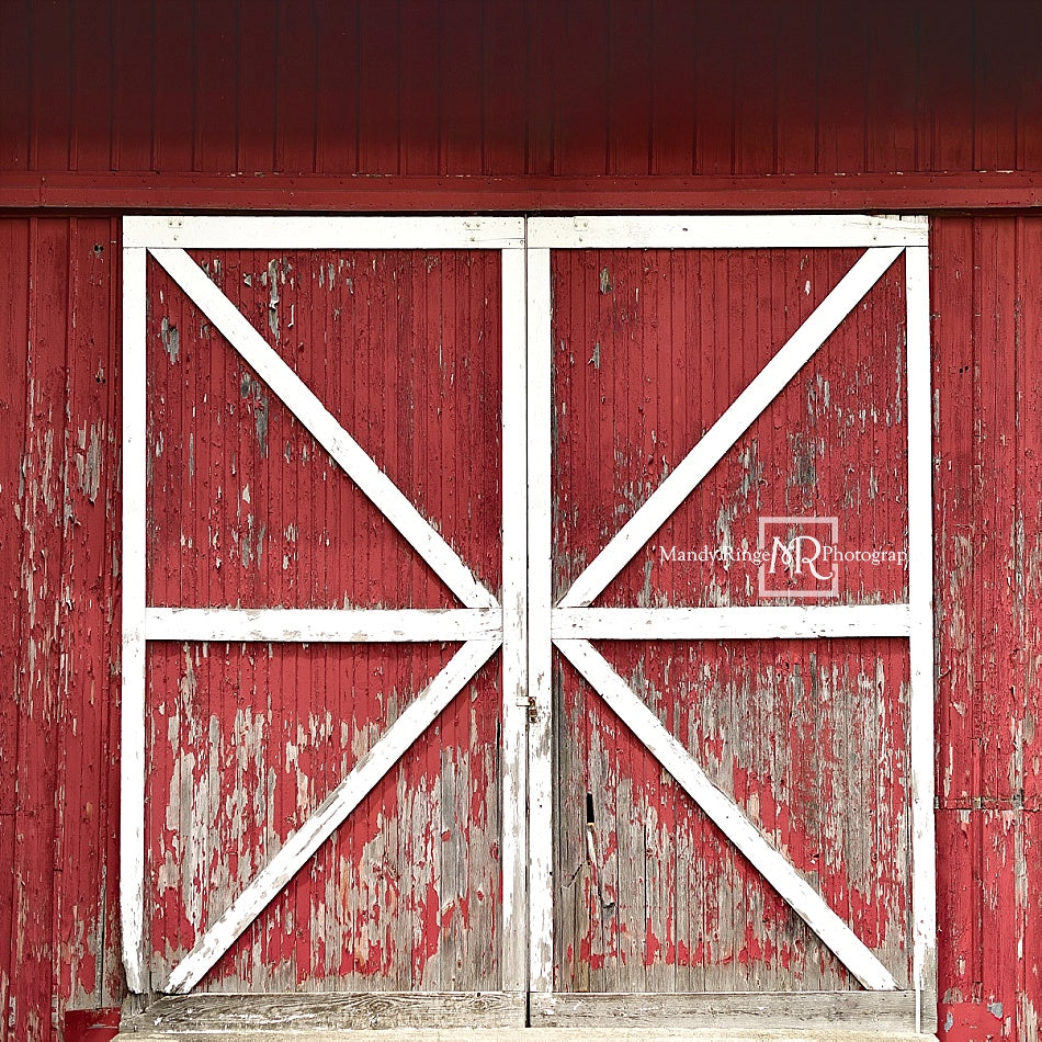 Sfondo di una porta rossa rustica 7x5ft (spedizione solo in Canada)